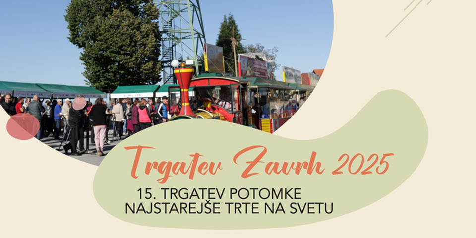 Trgatev Zavrh 2025
